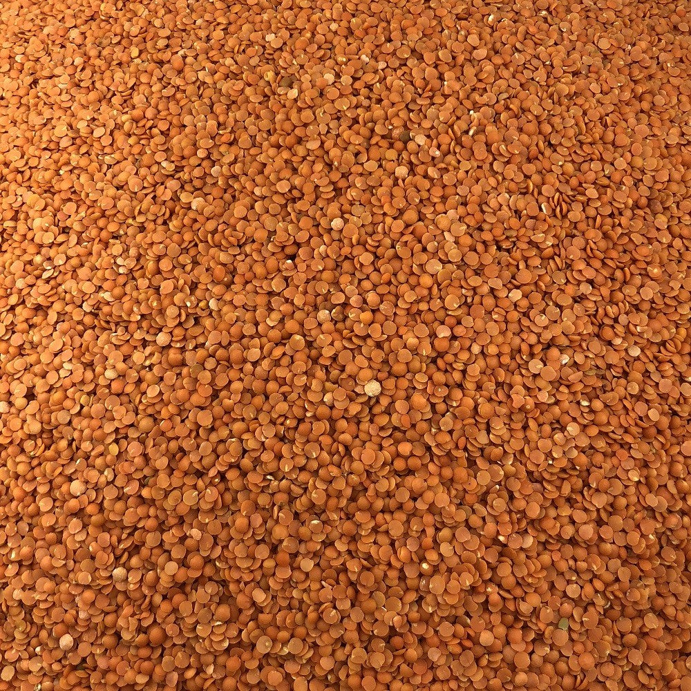 Lenteja Coral Bio Granel 25 Kg_2