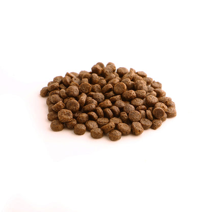 Fish4dogs Pienso Para Perro Adulto Sin Cereales – Salmón Y Patata Razas Pequeñas 1,5 Kg_1