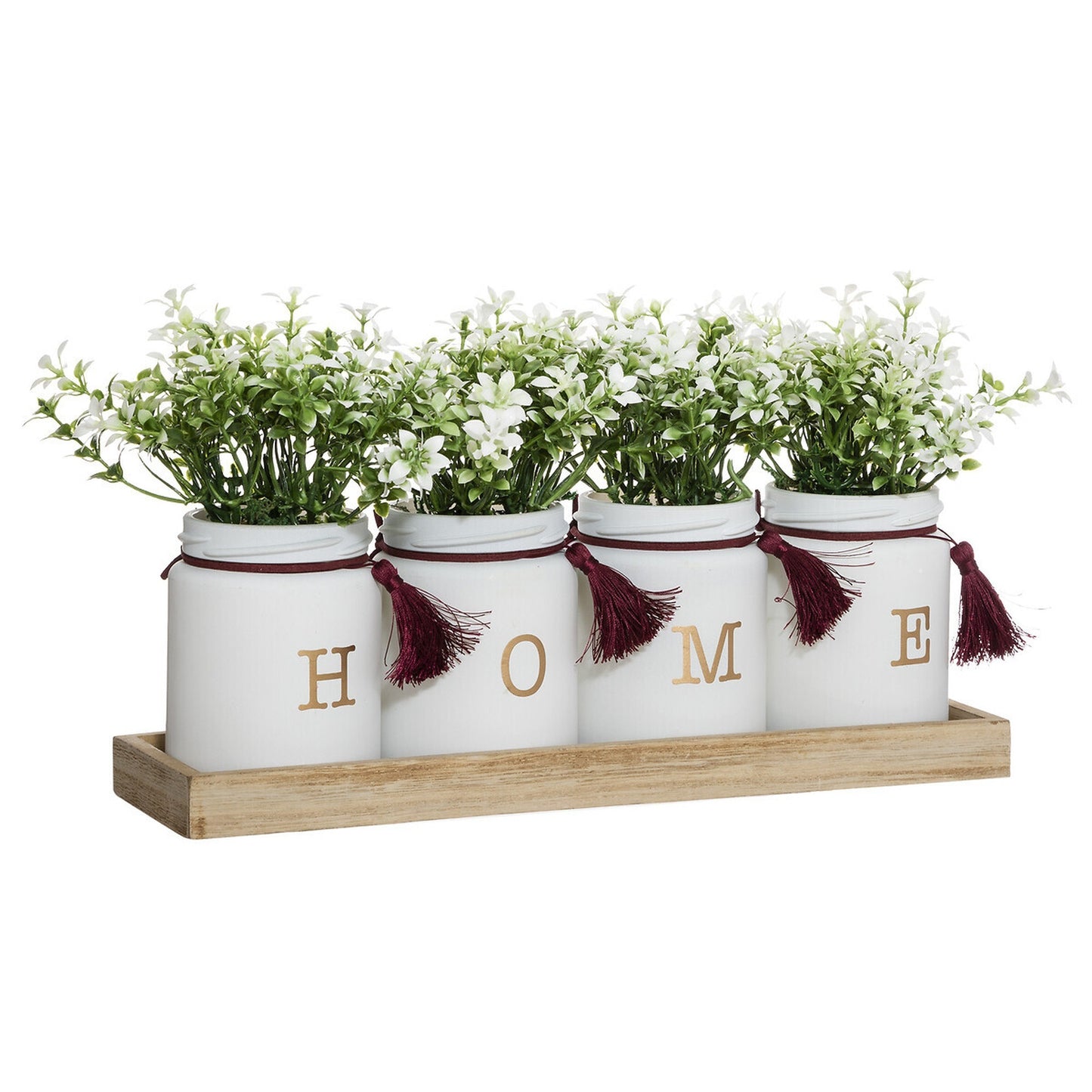Conjunto De 4 Plantas Gitanas_0