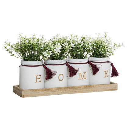 Conjunto De 4 Plantas Gitanas_0