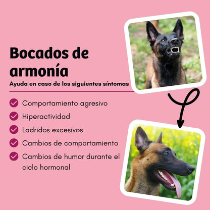 BugBell HappyMood Pienso – hipoalergénico, sin cereales, con proteína de insecto, remolacha, vitex y valeriana_3