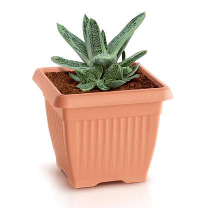 Maceta Terra 1,7l., Dimensiones (mm) 150x150x130, Color Terracota_4