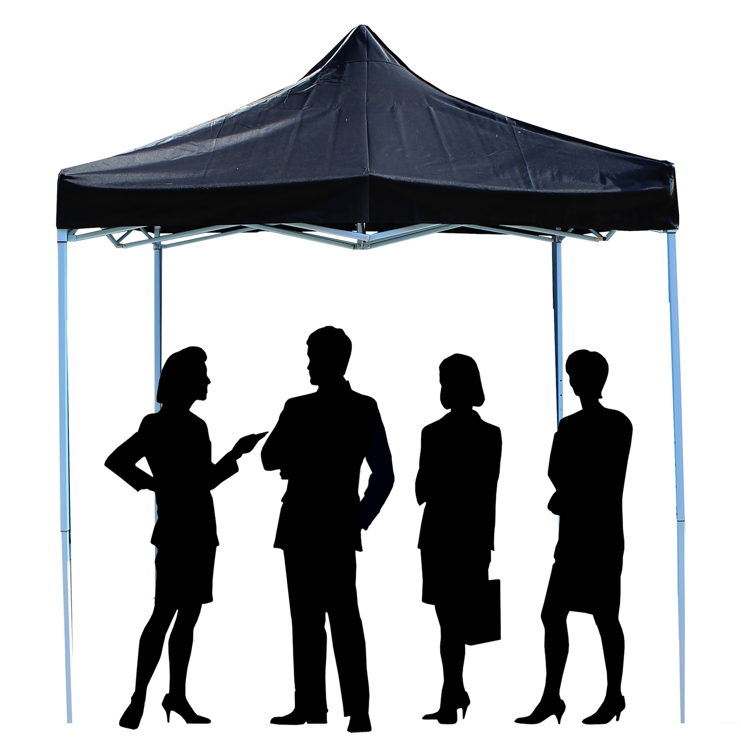 Carpa Plegable 250x250cm Tienda Negra_2