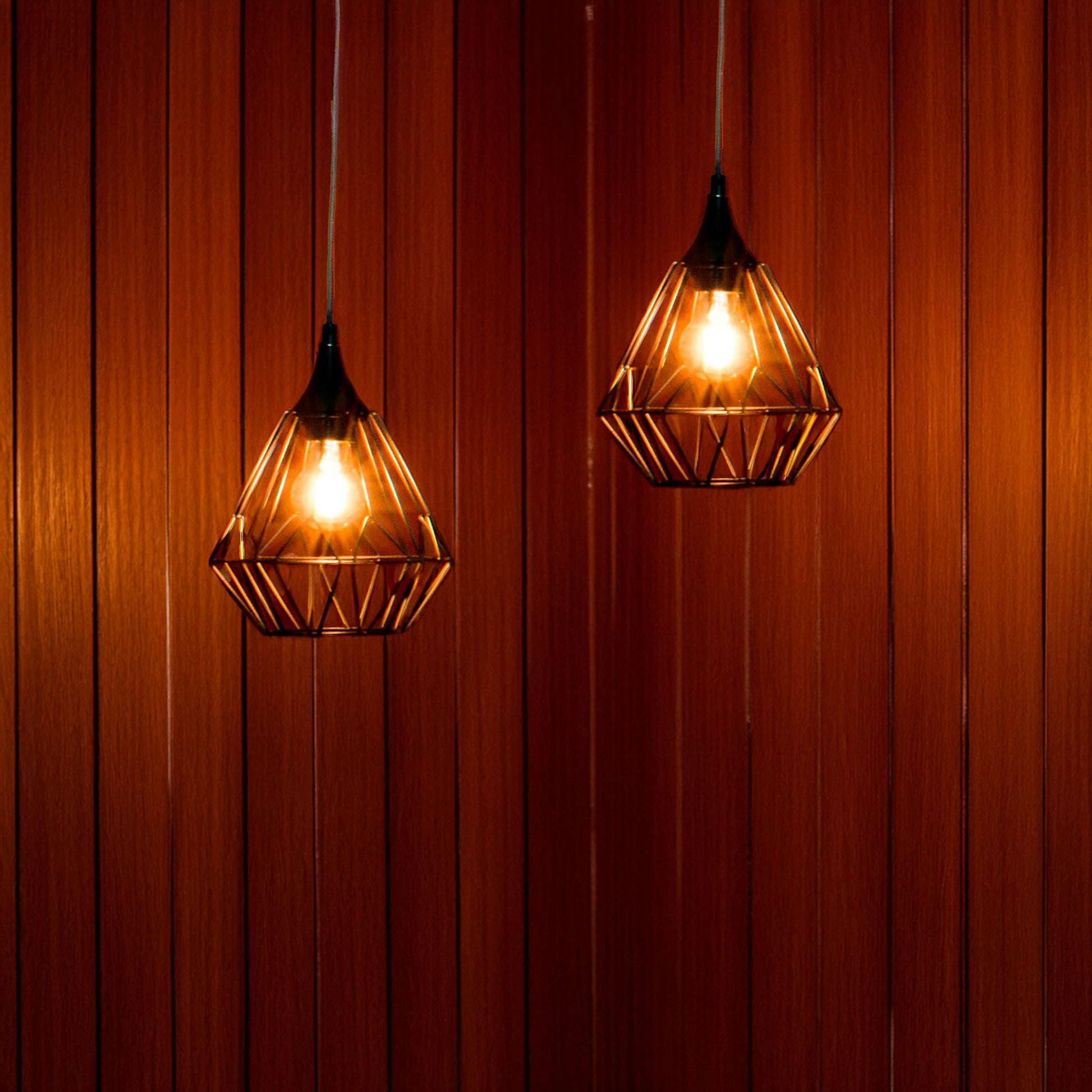 Wellhome Lámpara Techo Suspensión Metálico Negro D.19 H.27cm