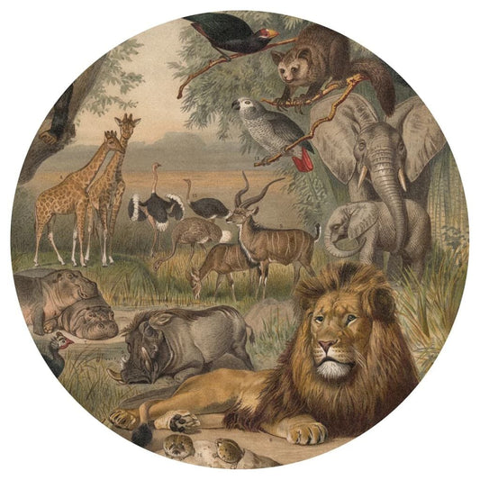 Wallart Círculo De Papel Pintado Animals Of Africa 142,5 Cm_0