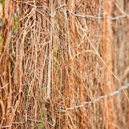 Brezo Ecológico Estándar - Tejido Natural Y Resistente - 2x5 M - Multicolor_2