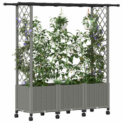 Cama Elevada Con Trellis Y Techo Gris Claro 162,5 X 40 X 142 Cm_2