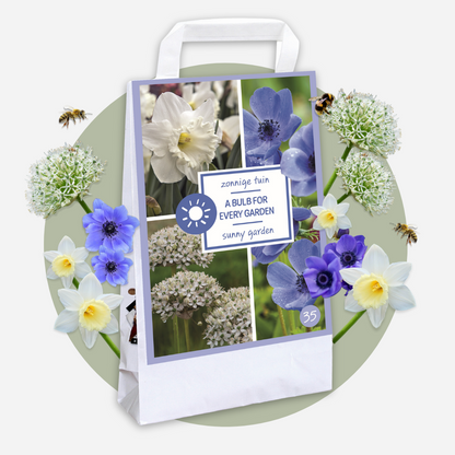 Bulbos - 35 Unidades - Sunny Garden Box - Anémona Allium Narciso_4