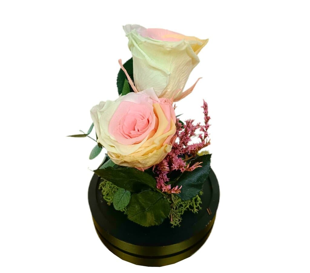 Cúpula 2 Rosas Multicolor Pastel 12x20cm_1