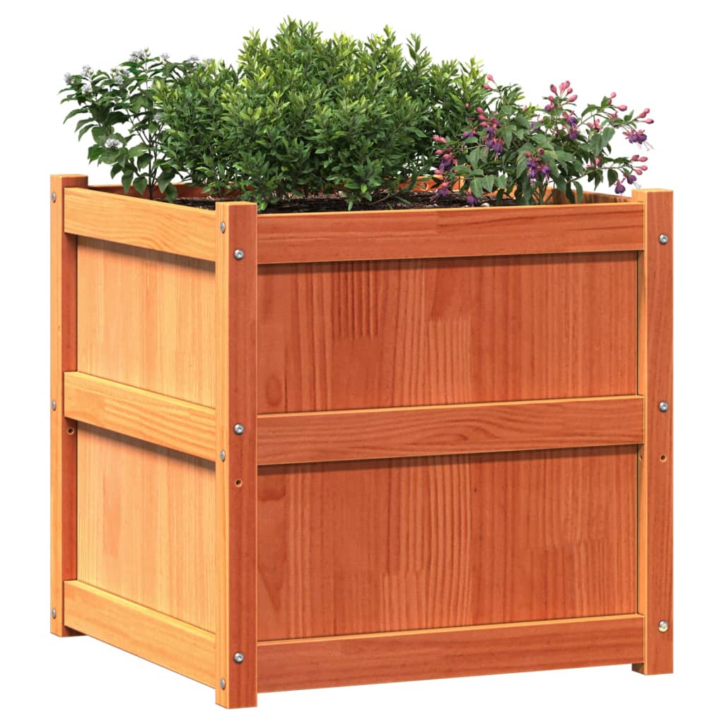 Jardinera Exterior Madera Maciza Pino Marrón Cera 60x60x60 Cm_3