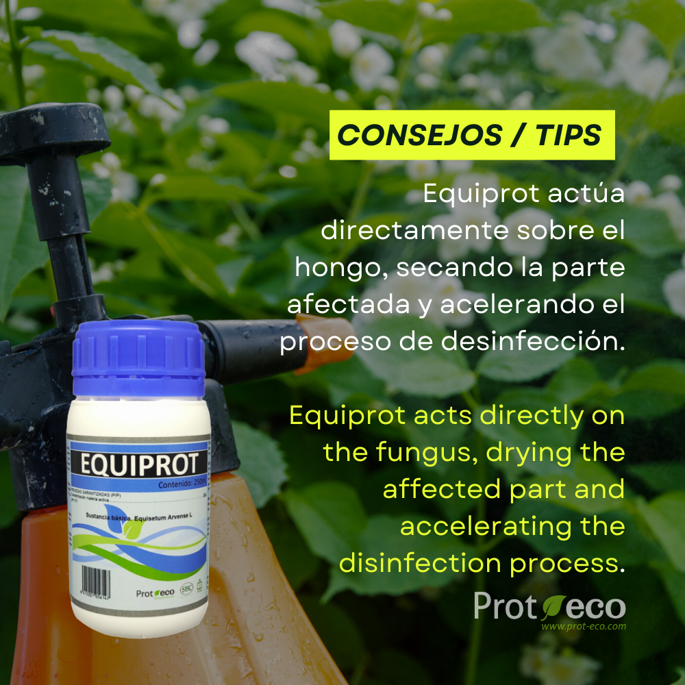 Fortificante ecológico de cola de caballo para plantas Equiprot Prot-eco 250 ml + pipeta dosificadora 5 ml gratis_2