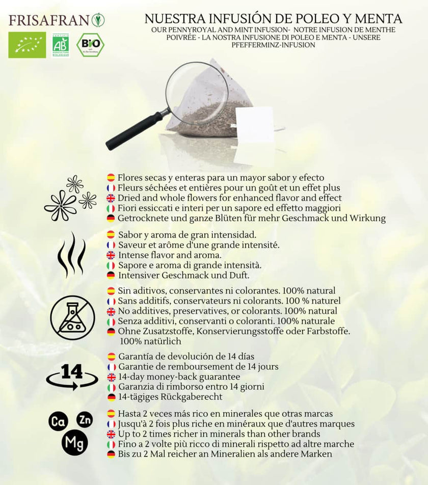 Infusión De Poleo Menta En Pirámides Ecológica | Frisafran 30 Uds_4