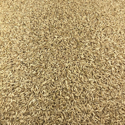 Arroz Integral Ecológico Granel 1 Kg_2