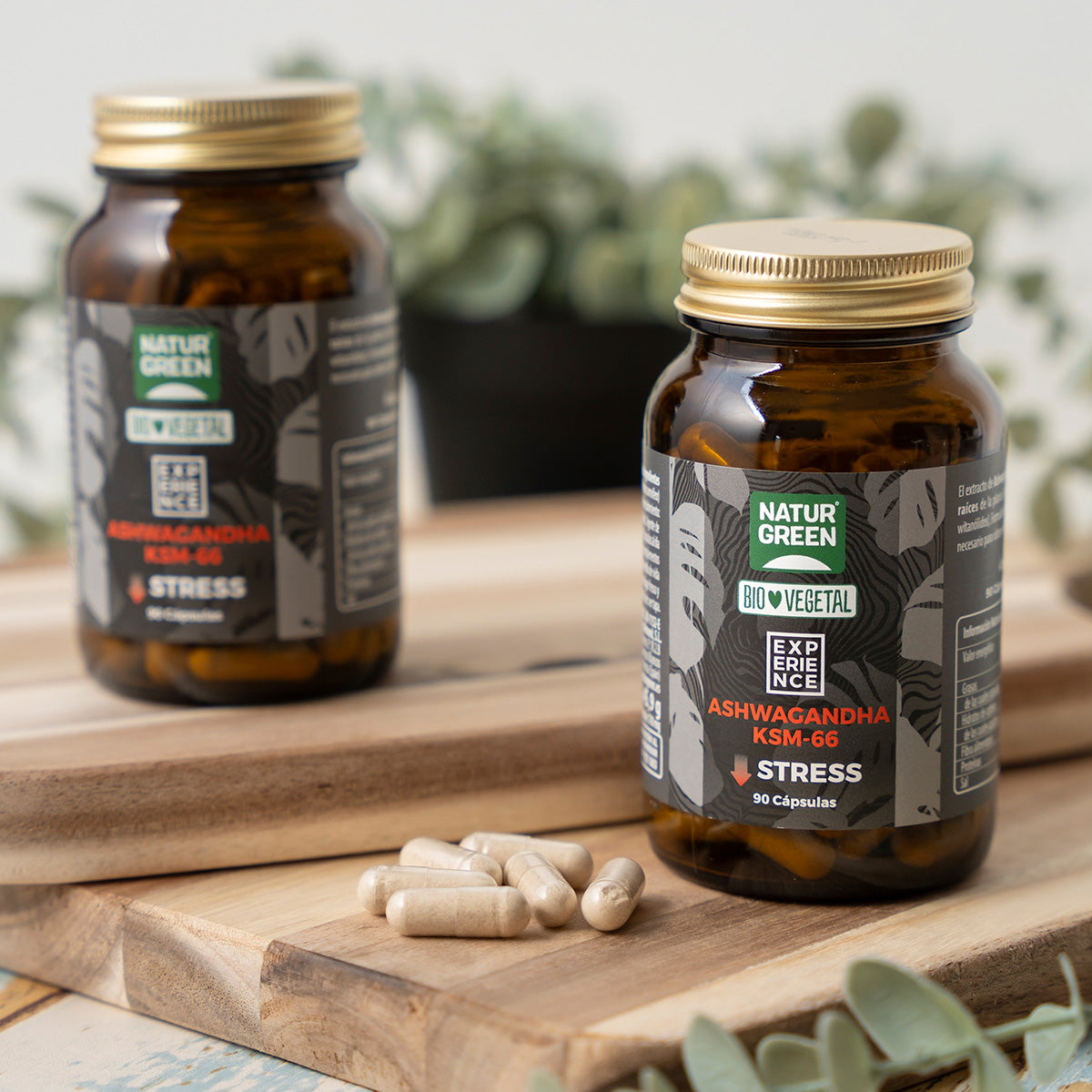 NaturGreen Experience Memory Brain Bio 90 cápsulas