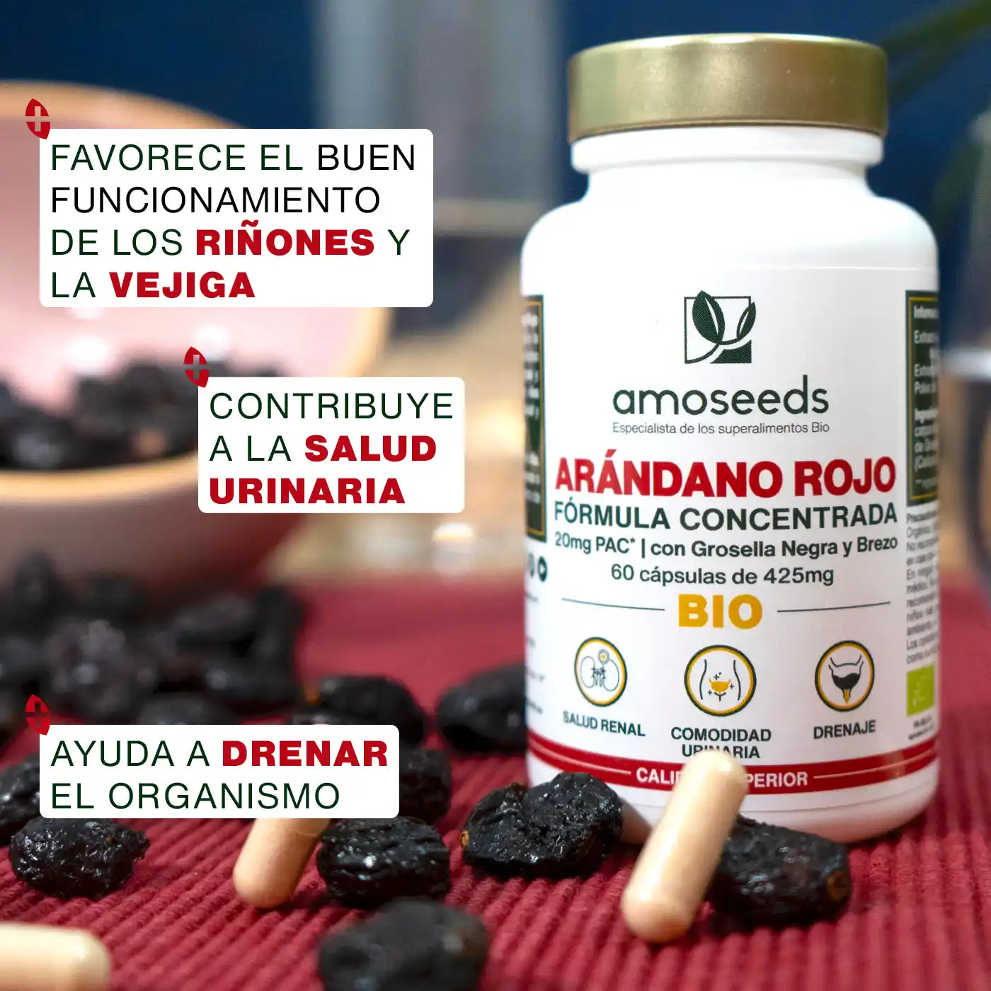 Arándano Rojo Bio, Fórmula Con Grosella Negra Y Brezo | 60 Cápsulas_3