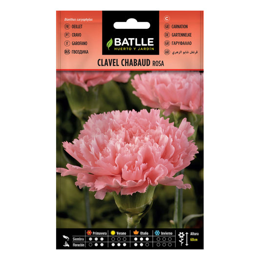 Semillas de Clavel rosa Batlle
