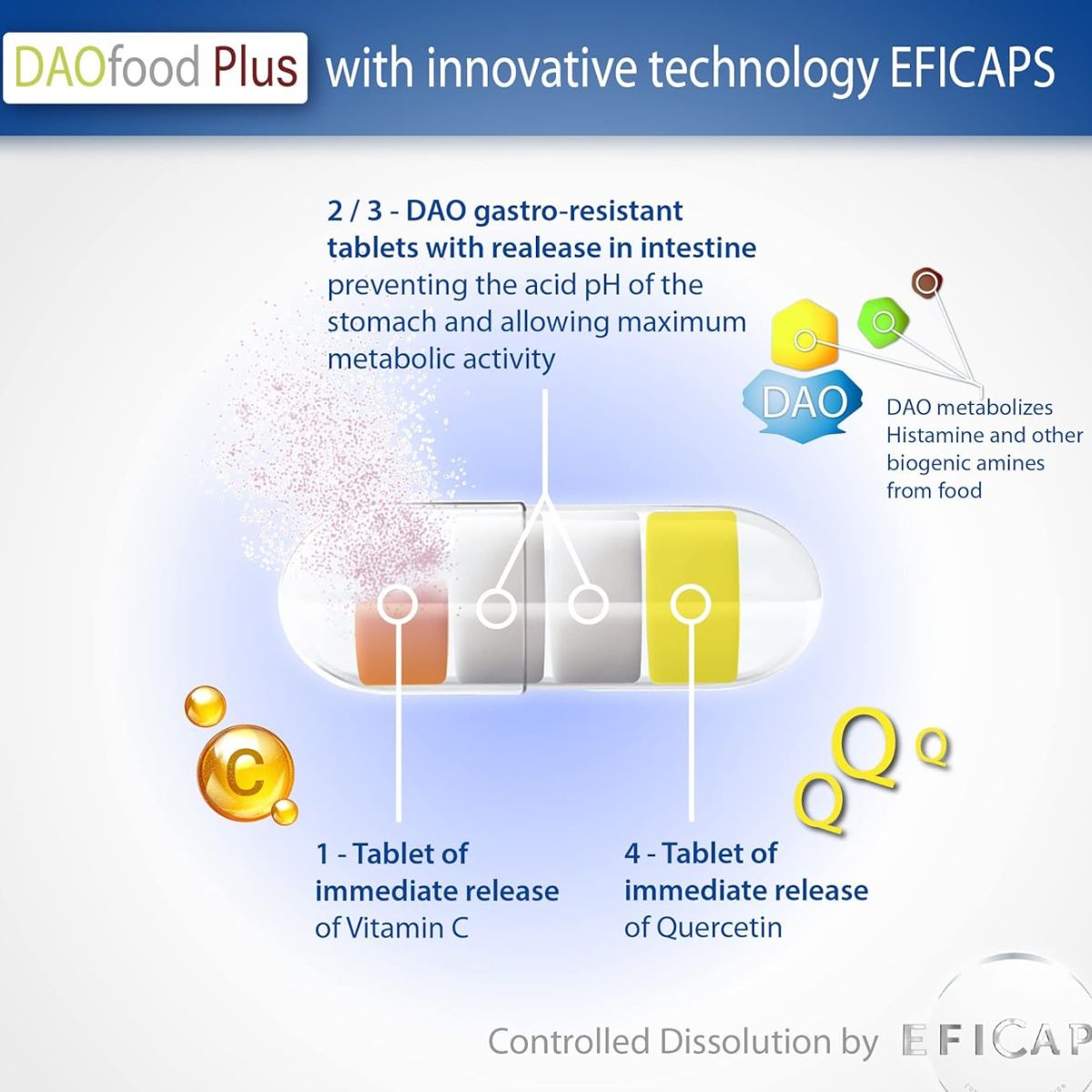 DAOfood® Plus 60 cápsulas con comprimidos gastrorresistentes