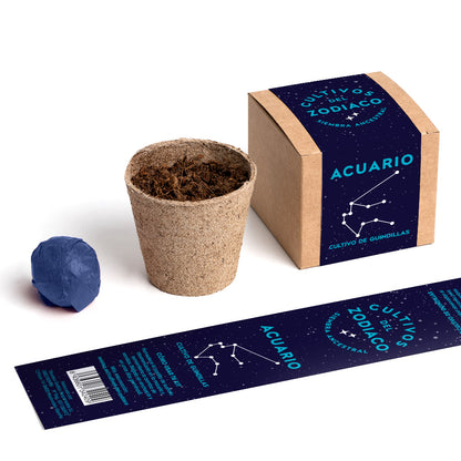 Cultivos del Zodiaco – Acuario, Kit de Cultivo con Semillas de Guindilla - Resetea_2