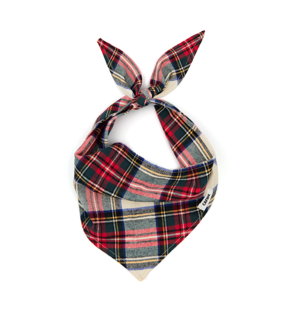 Cafide Bandana Para Perro Tartán Dress Steward. Modelo Nata. Talla S (20-30 Cm)_0