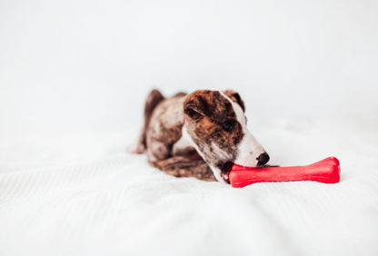 Bimordiscos Juguete Flexible Para Perros · Hueso Para Perros. M_1