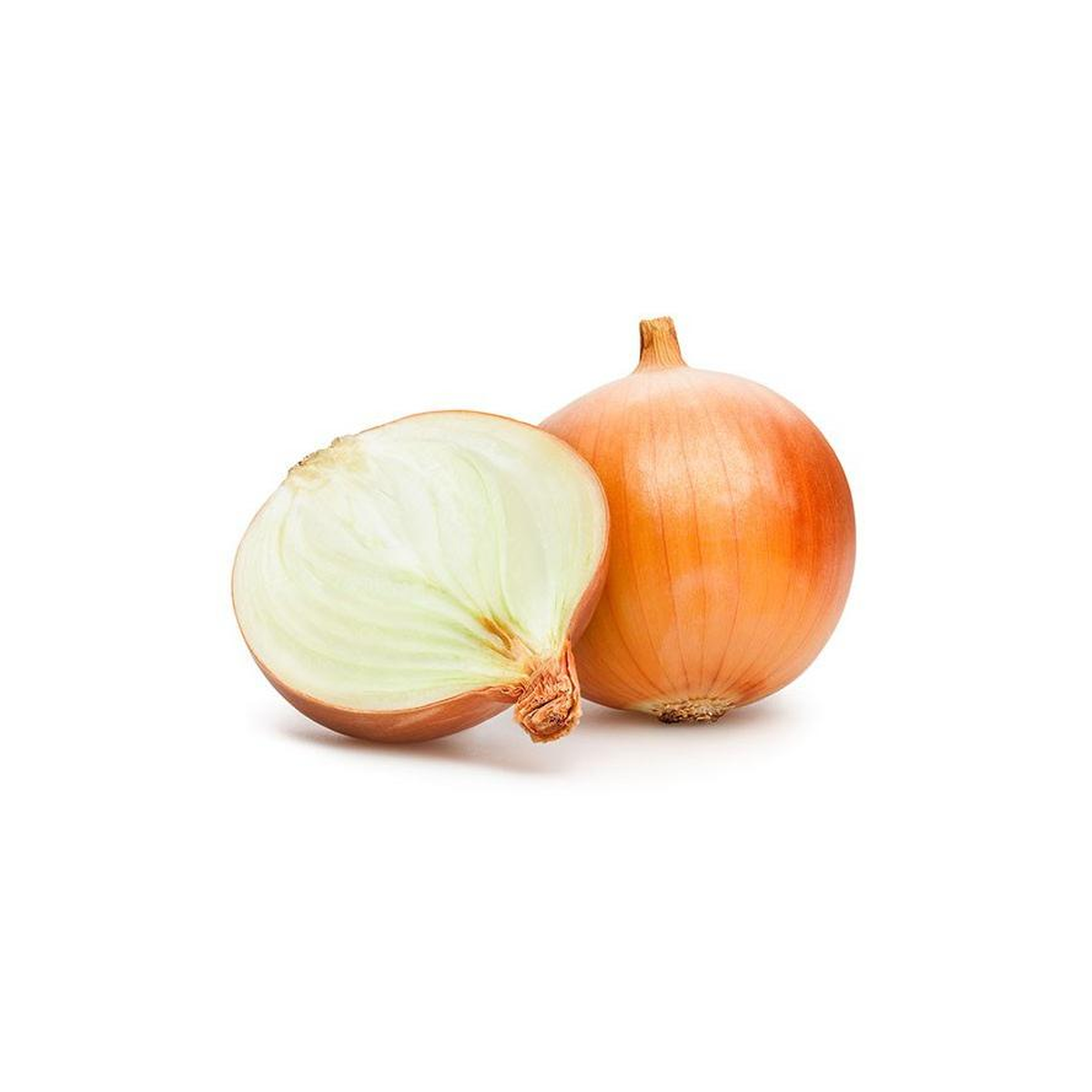 Plantón De Cebolla Dulce 6 Uds. Gama Tradicional_0
