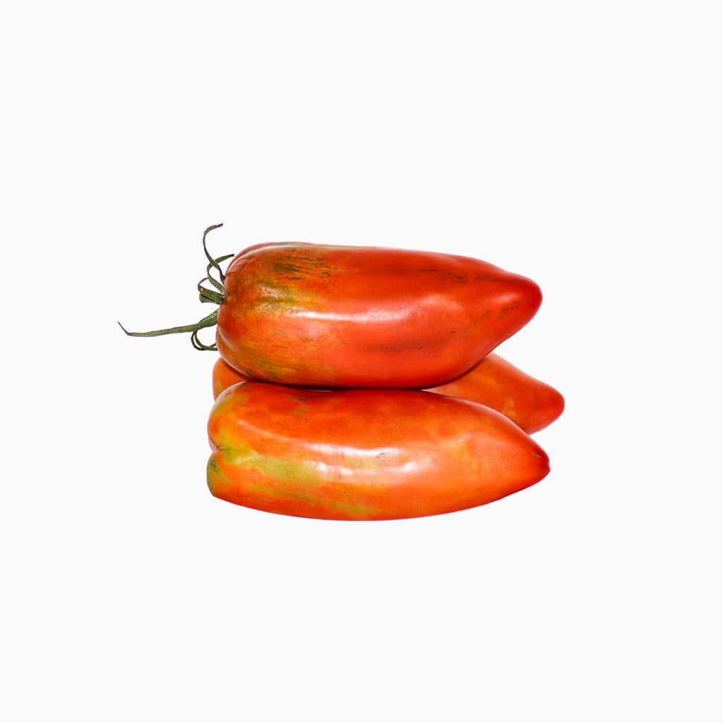 Plantón Tomate Bitxo - Plantabo