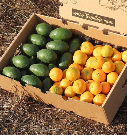 Caja 9kg Mix Aguacates De Piel Lisa Y Mandarinas | 4,5 Kg De Cada Fruta_2
