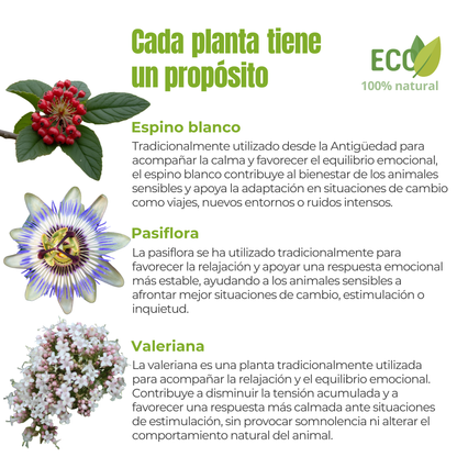 Suplemento natural para el bienestar emocional de perros y gatos – ECO 100 g_2