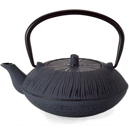 Tetera De Hierro Baoji - 800ml_0