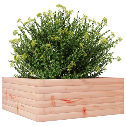 Jardinera De Madera Maciza De Abeto Douglas 60x60x23 Cm_3