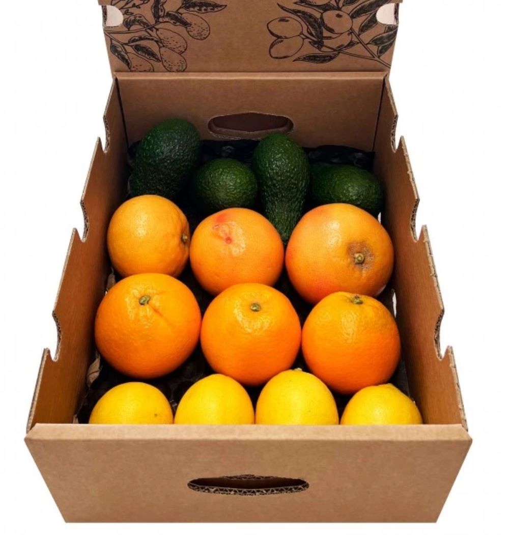 Mix Variado: Naranjas, Aguacates Hass, Pomelos Rojos Y Limones Verna Tropitop 4kg_1