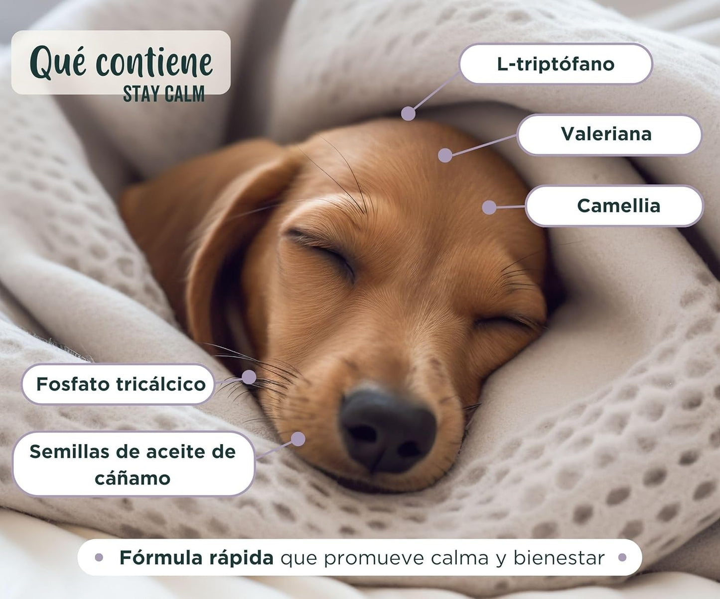 Wolf Belly Stay Calm Calmante Perros y Gatos sabor pollo 30 comp