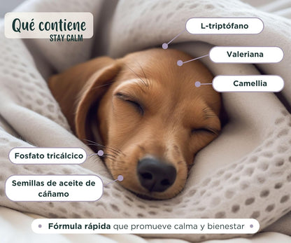 Wolf Belly Stay Calm Calmante Perros y Gatos sabor pollo 30 comp