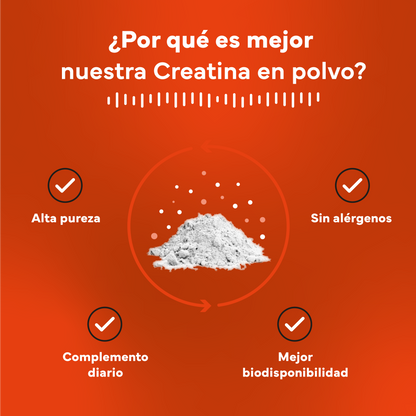 Creatina Monohidratada Sevens Nutrition. Más Fuerza, Energía Y Resistencia.
