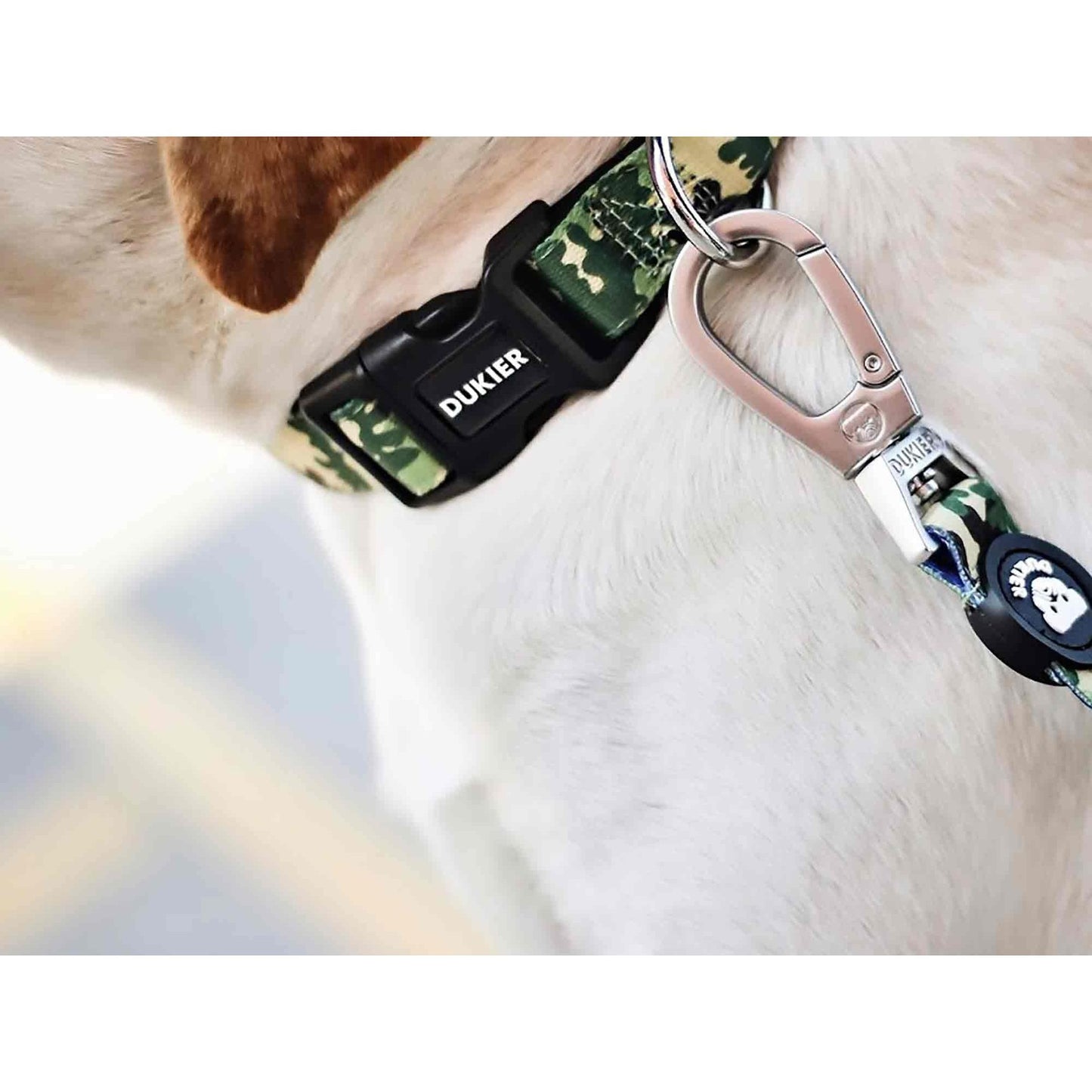 Collar para perro CAMO Dukier S