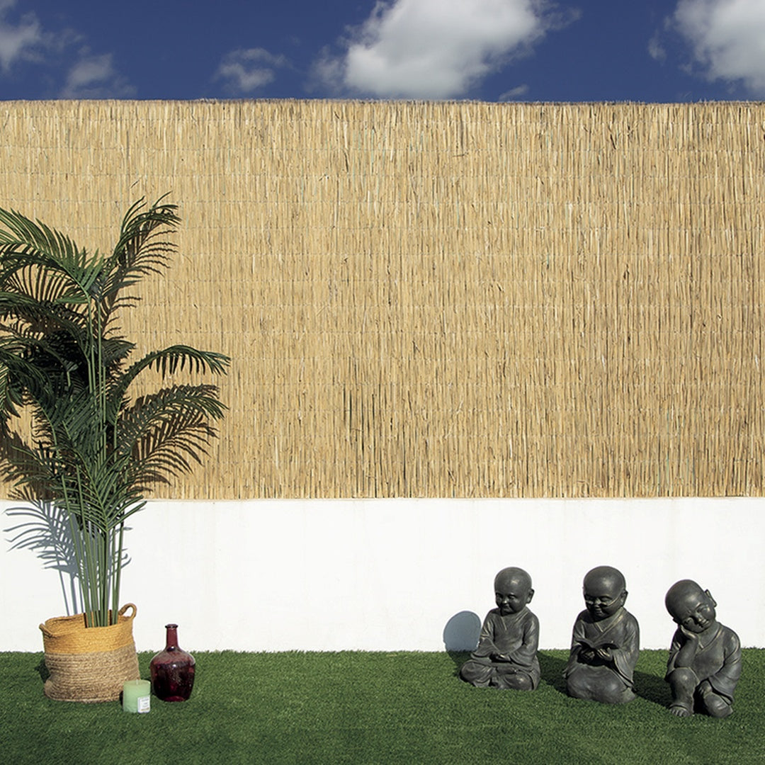 Bambú Pelado Multi Varilla Reed Multi 2x5 M Nortene_3