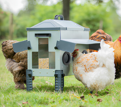 Comedero Para Gallinas Robust® | Tolva Antidesperdicio De Acero Galvanizado Para Exterior | Altura Regulable (12kg)_1