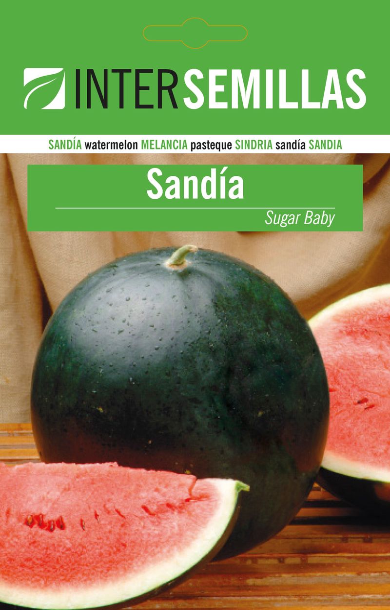 Sobre De Semillas De Sandia Sugar Baby_0