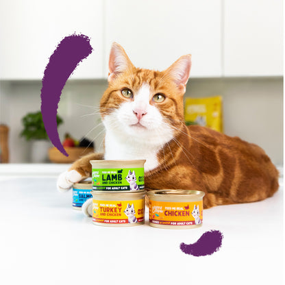 Comida húmeda gatos en salsa Trocitos de Pavo y Pollo Edgard & Cooper 85 g