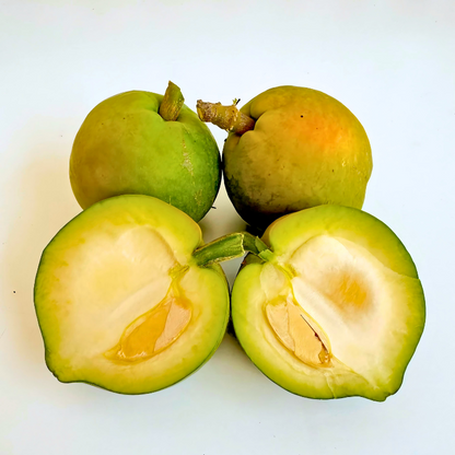Zapote Blanco De La Axarquía 1/2 Kg_1