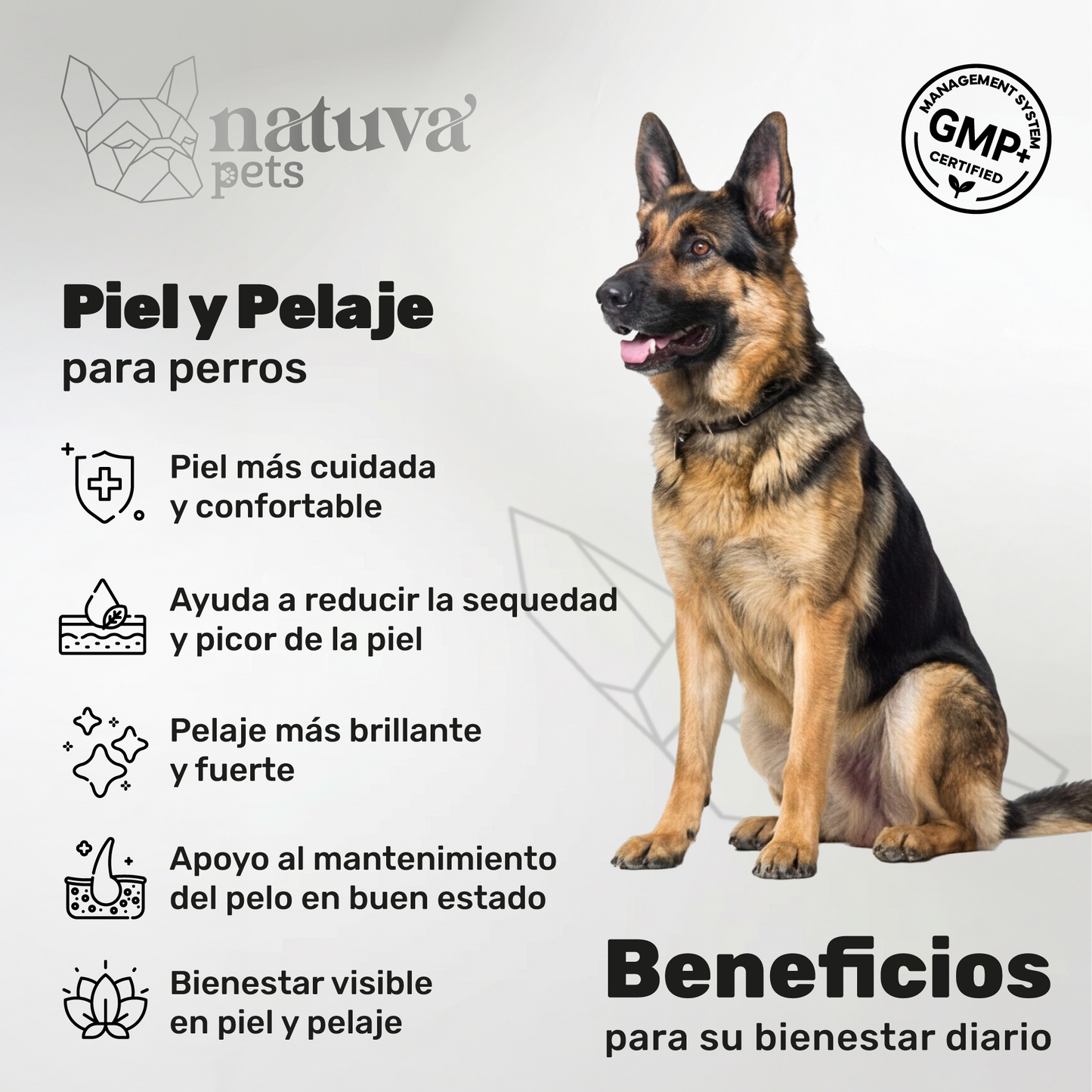 Pack 2x Aceite De Salmón Para Perros. Piel Sana Y Pelo Brillante. Suplementos Mascotas. 240 Masticables. Natuva Pets_1