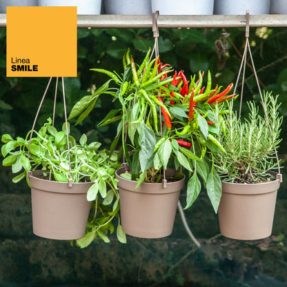 5 Macetas Cilíndricas Ø 10 Cm Con Ganchos, De Polipropileno Antracita