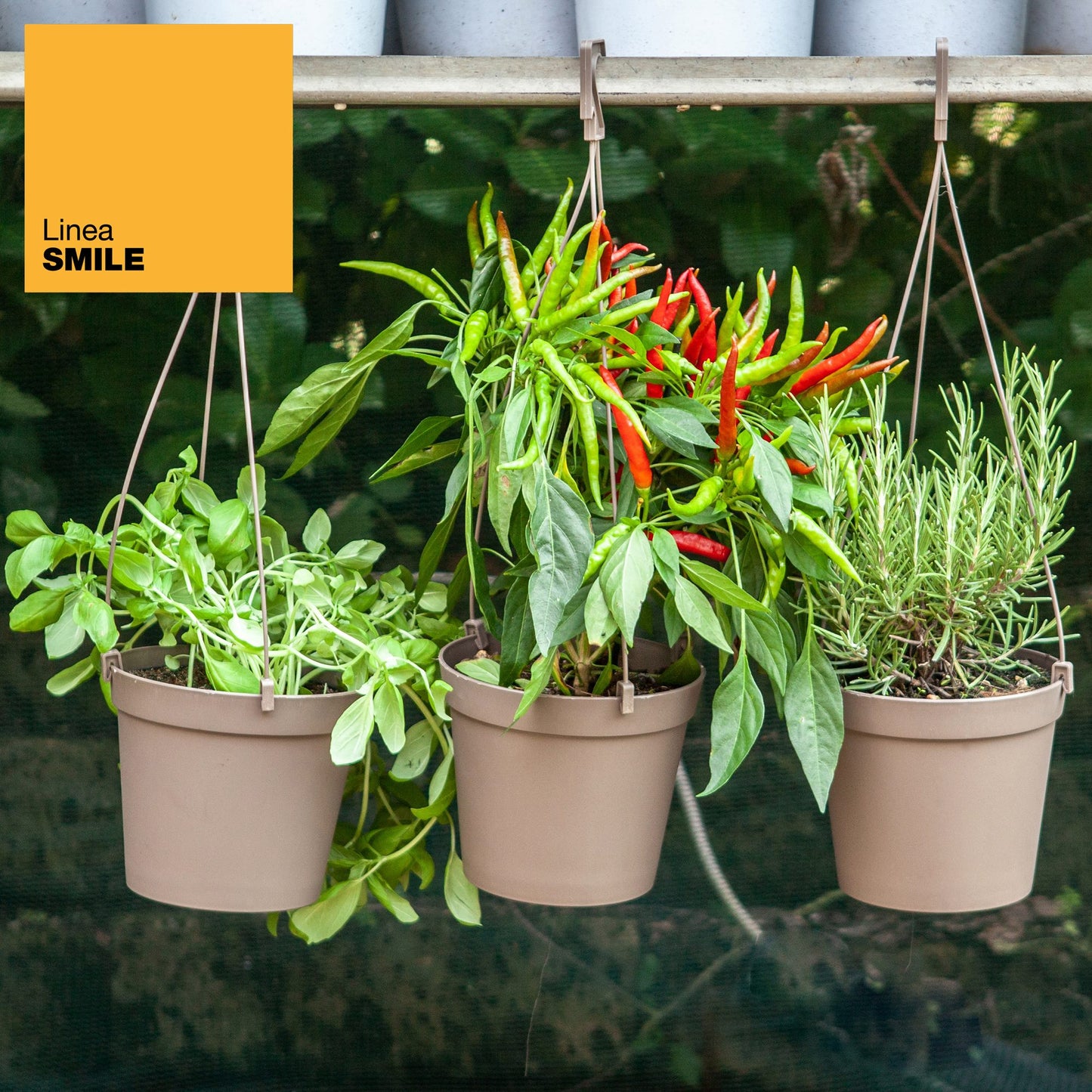 3 Macetas Cilíndricas Ø 14 Cm Con Ganchos, De Polipropileno Gris