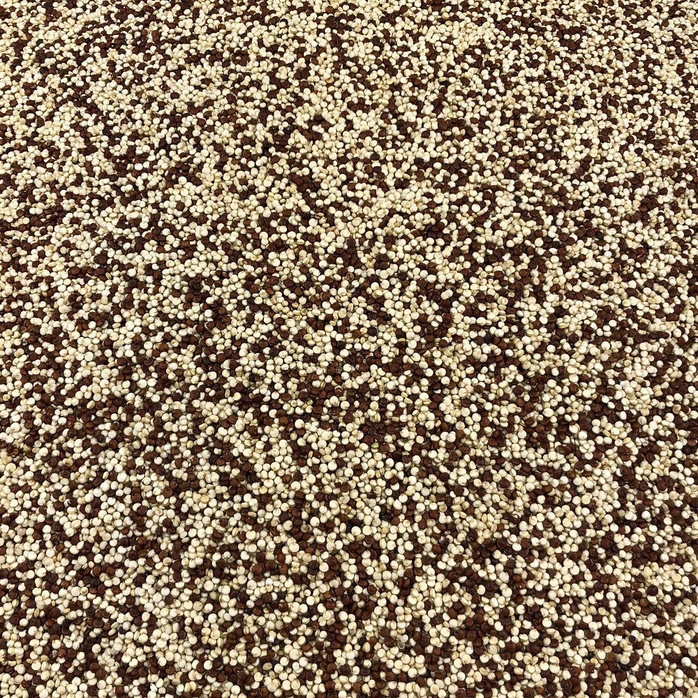 Quinoa Dúo Blanca Roja Orgánica Granel 0,25 Kg_2