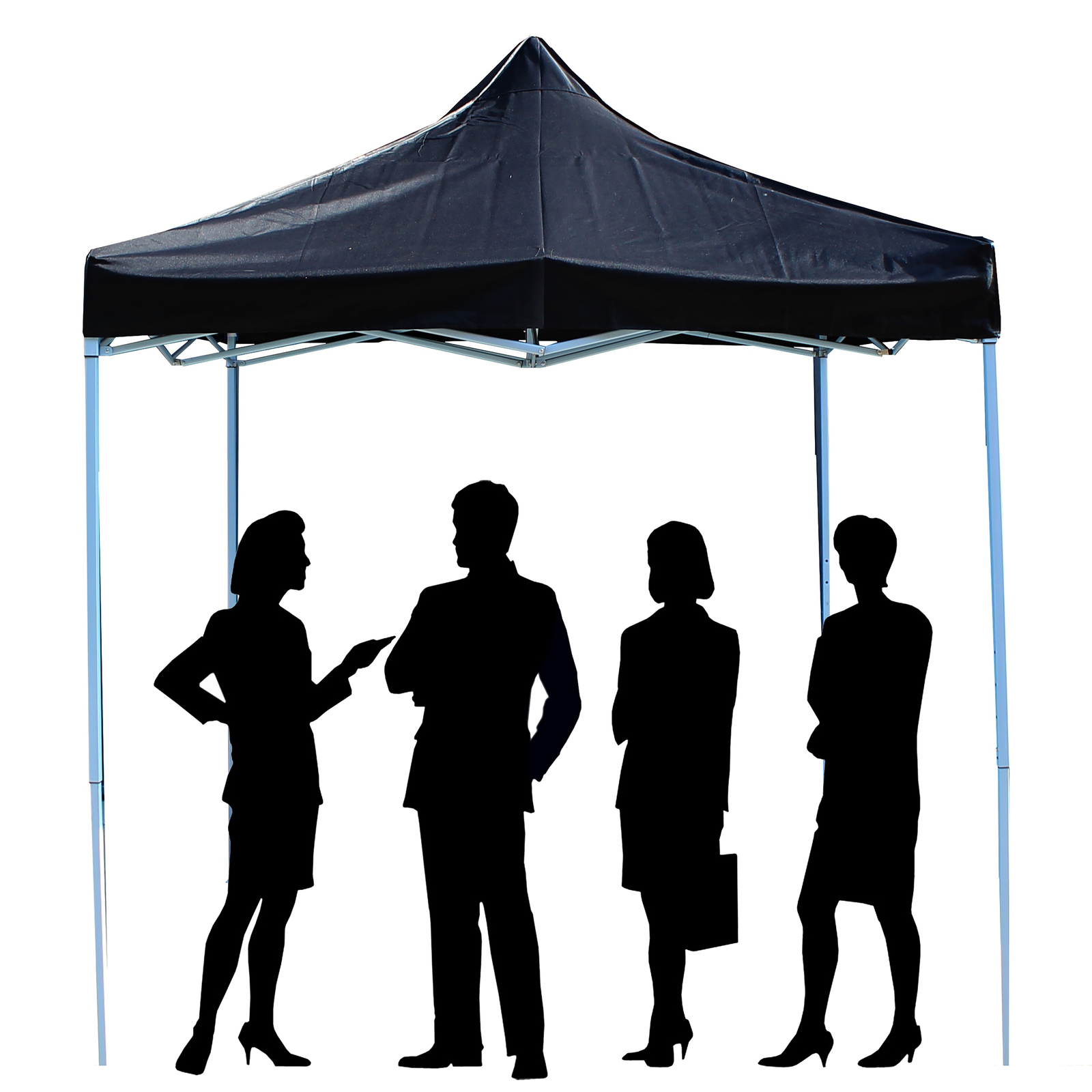 Carpa Plegable 300x300cm Tienda Negra_2