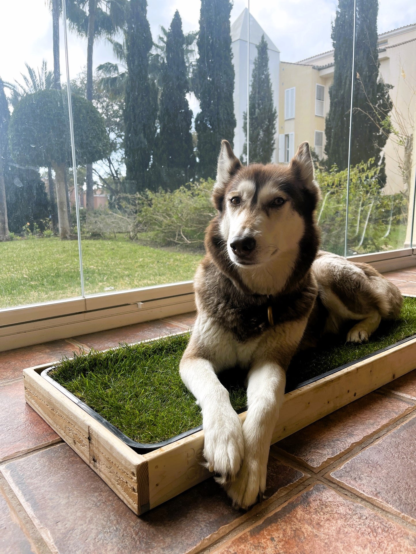 Petground, Cama Para Perros, Caja De Madera, Accesorio, Mueble, Xl_4