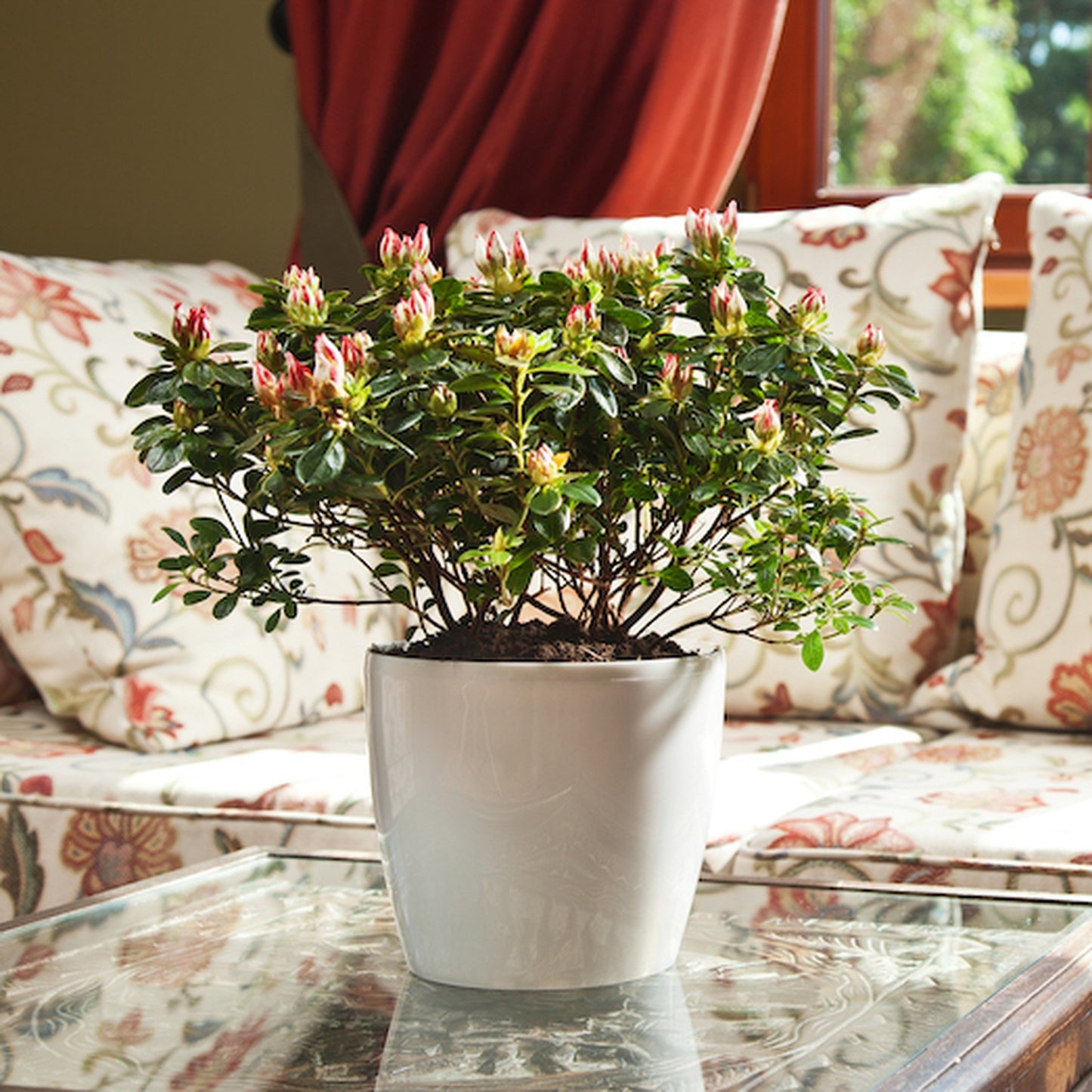 Macetero Magnolia 360 Gris_3