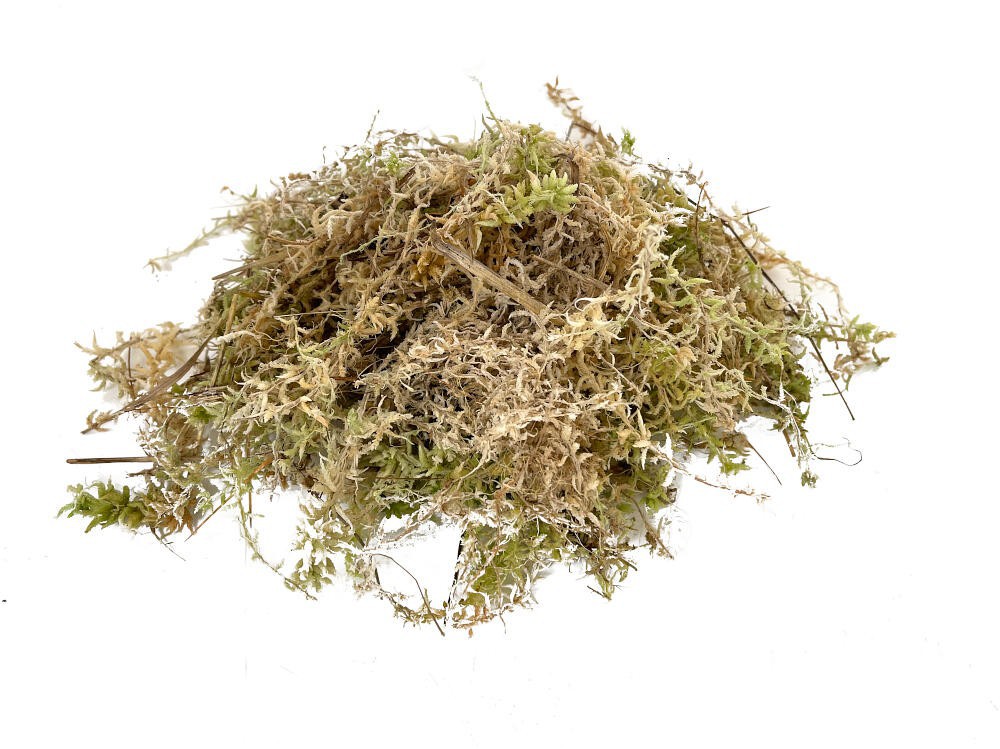 Musgo Sphagnum Humedo 250/300 Gr._1