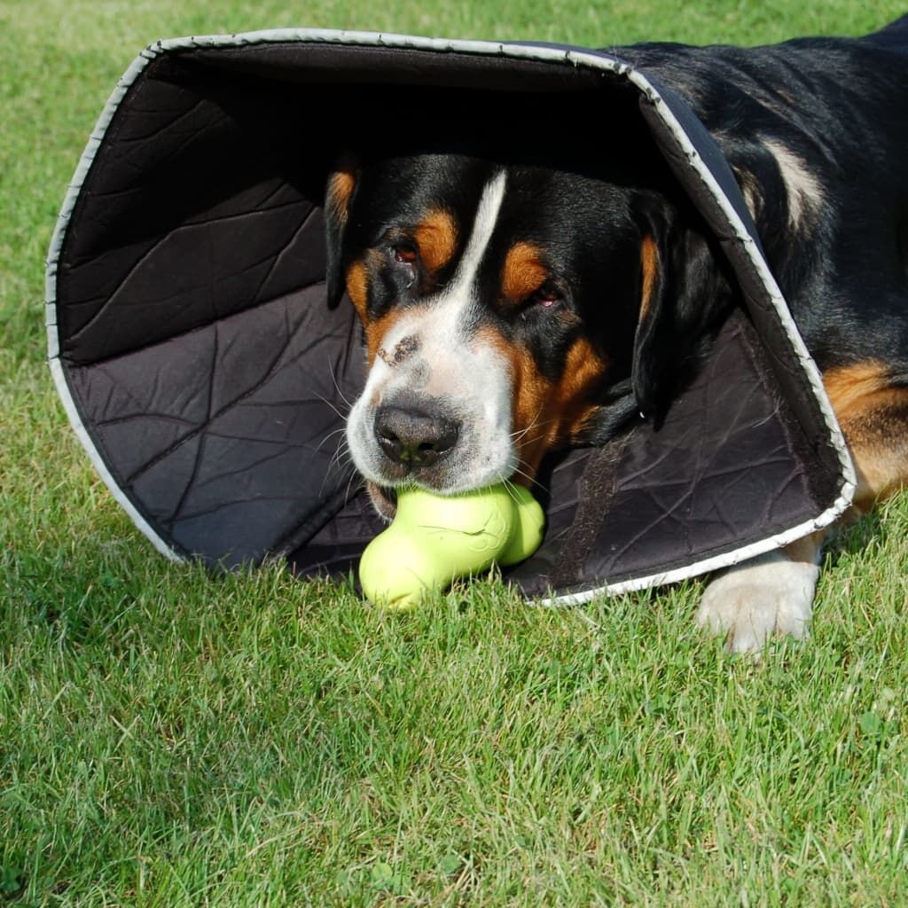 All Four Paws Collar De Recuperación Comfy Cone Negro Xl 30cm_2