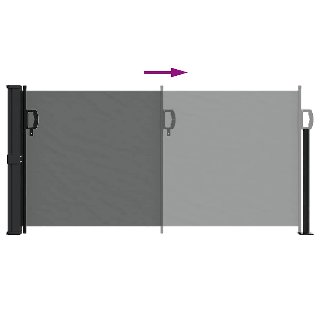 Vidaxl Toldo Lateral Retráctil Antracita 100x300 Cm_4